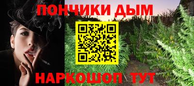 СК Сланцы