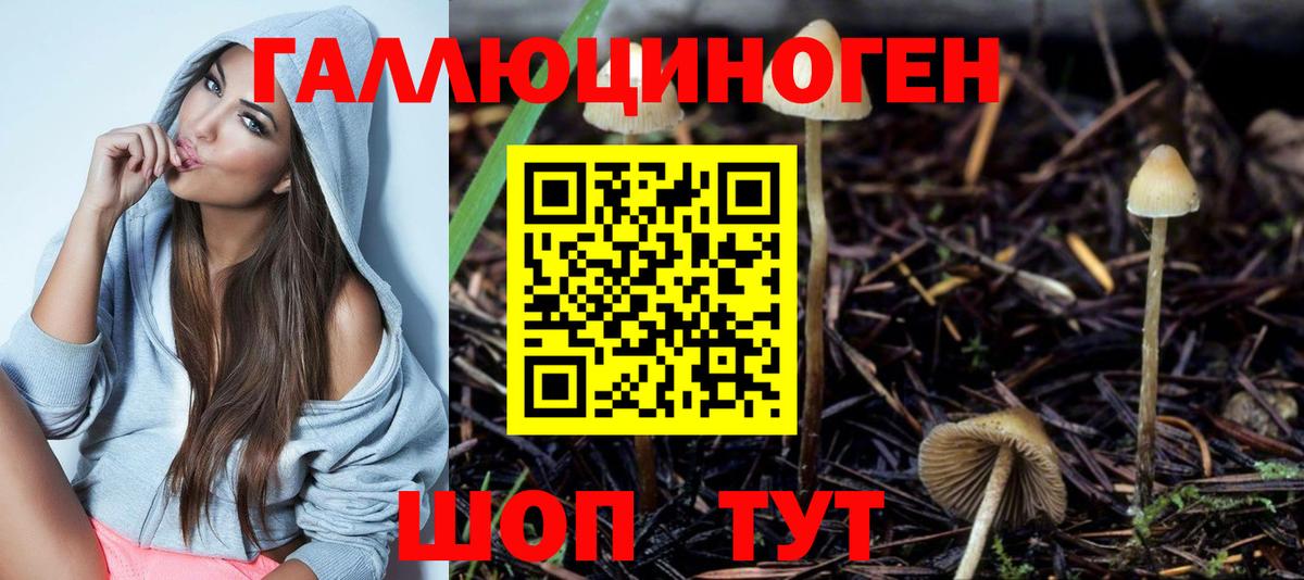 Псилоцибиновые грибы мухоморы  Вход с VPN  Новочеркасск 